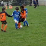 DSCN0196