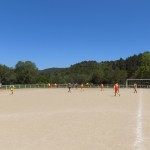 DSCN1663