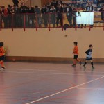 IMG_9133