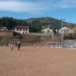 P1050636